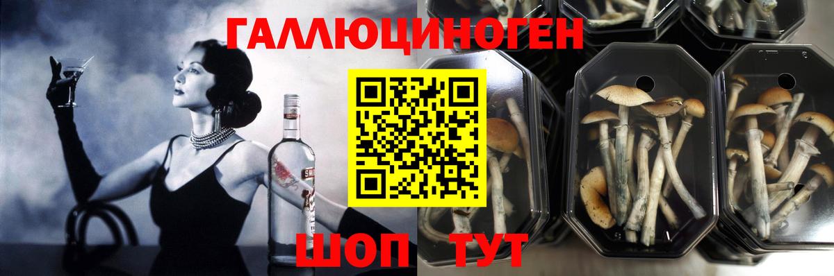 Псилоцибиновые грибы мухоморы  Вход с VPN  Галлюциногенные грибы Cubensis  Мурманск 